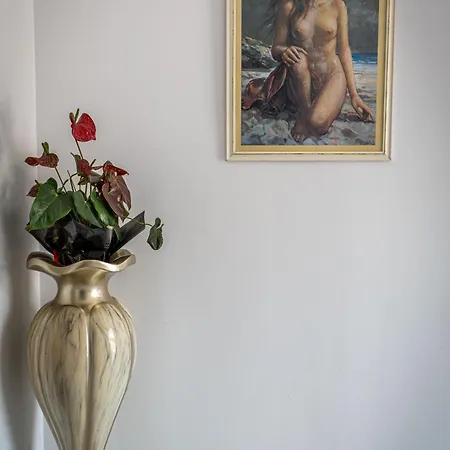 Apartment Euphoria