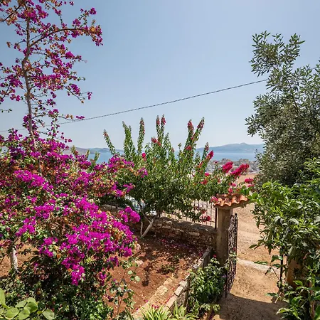 Appartement Euphoria Saranda