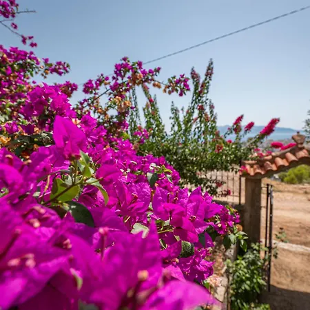 Euphoria Appartement *